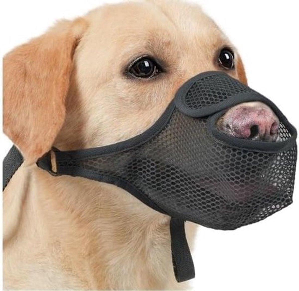 Muilkorf grote hond - Verstelbare ring - Lichtgewicht - Opvouwbaar - Nylon - Ademend net - Hondenmuilkorf