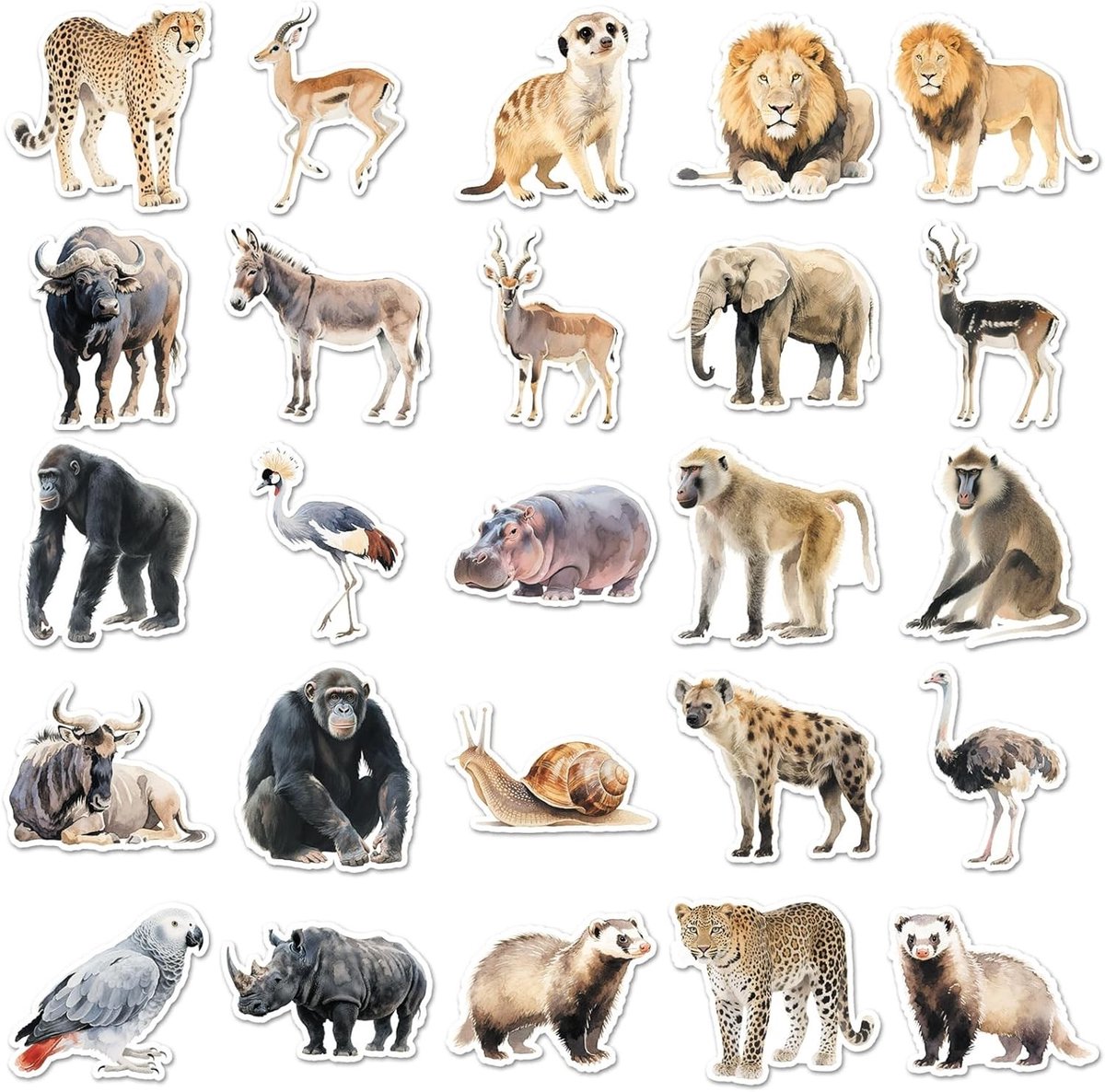 Dierenstickers Set van 50 Stuks voor Jongeren en Volwassenen - Vinyl Stickers voor Auto, Fiets, Skateboard en Laptop