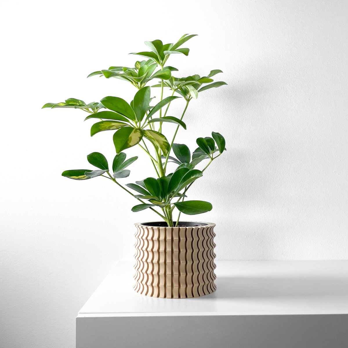 Skushy Tulam Bloempot - Moderne Designpot voor Kamerplanten - Sculpturale Plantenpot voor Woonkamer en Kantoor - Premium Woondecoratie
