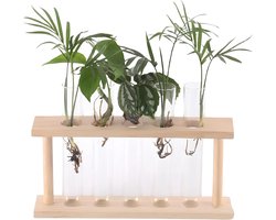 Testbuis Planten Terrarium met Houten Stand voor Hydroponische Planten - Ideaal voor Thuis, Tuin en Kantoor Decoratie