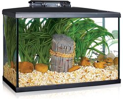 LED Aquarium Starterset 5 Gallon (19L) - Compleet Glas Aquarium met Filter en Verlichting - Compact Aquarium voor Beginners en Tropische Vissen