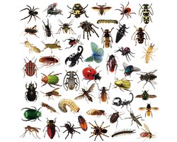 Go Go Gadget - 50 Stickers Mix Pack - Voor Fiets, Step, Laptop, Skateboard, Koffer, Helm, etc. - Bullet journal - Junk journal - Insecten