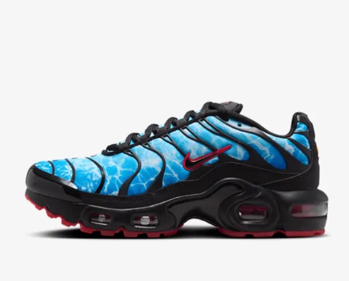 Nike Air Max Plus ‘Photo ‘ “ Blauw