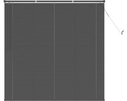 Jaloezieën PVC - Raambekleding - Lichtregeling Thuis - Veiligheidsclip Kinderen - 150 x 130 cm - Zilver Grijs