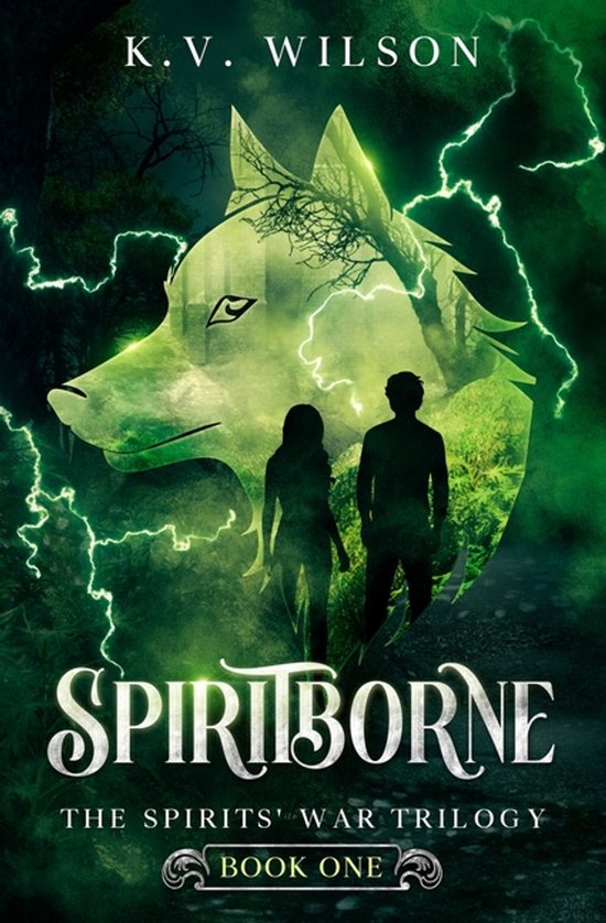 Spirits' War Trilogy- Spiritborne (Book One of the Spirits'  ... - cover