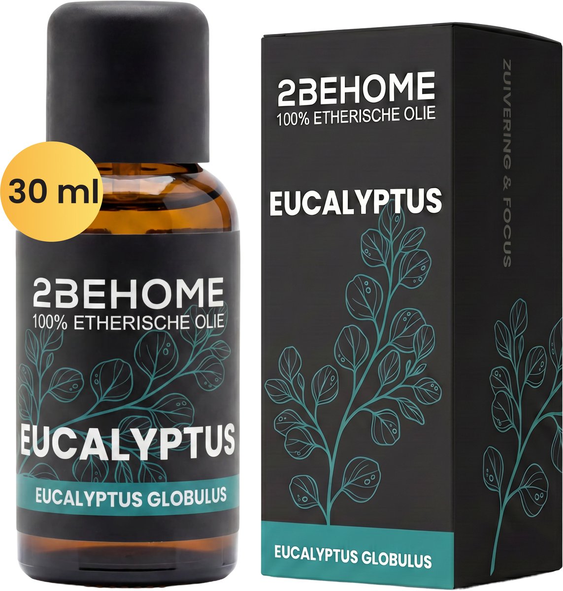 2BEHOME Etherische Olie Eucalyptus - 30 ML - 1 Stuk - Essentiële olie voor Aromatherapie - Essential oil - Geurolie voor Aromadiffuser
