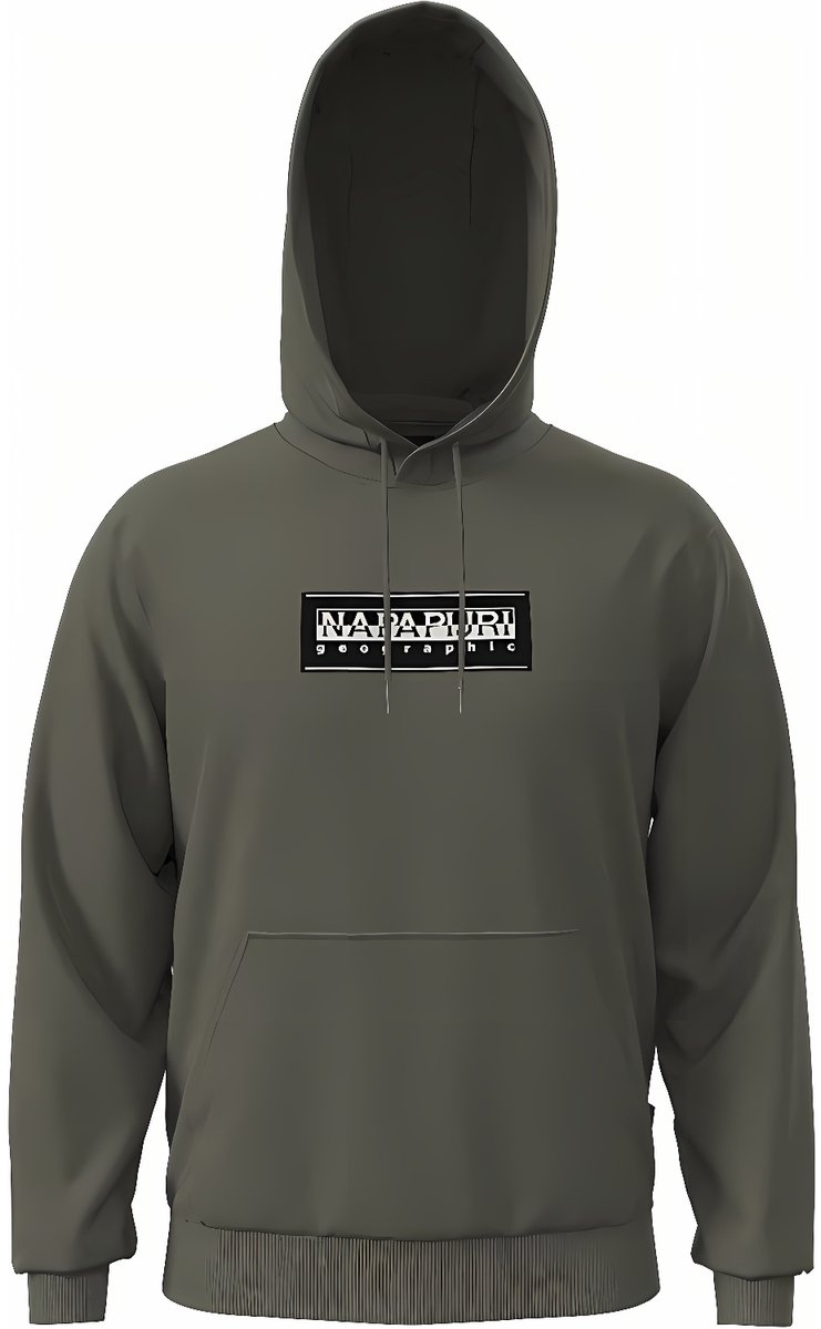 Napapijri trui B-Box Logo H NP0A4I19 -3XL Tea Leaf G0a