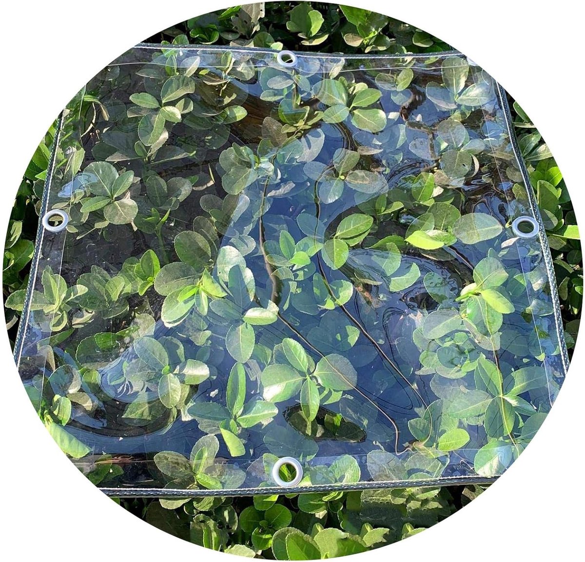 Transparant Dekzeil - Beschermend Zeildoek - Tuin Beschermen - Waterdicht 04 mm - 1.5x4m - Doorzichtig