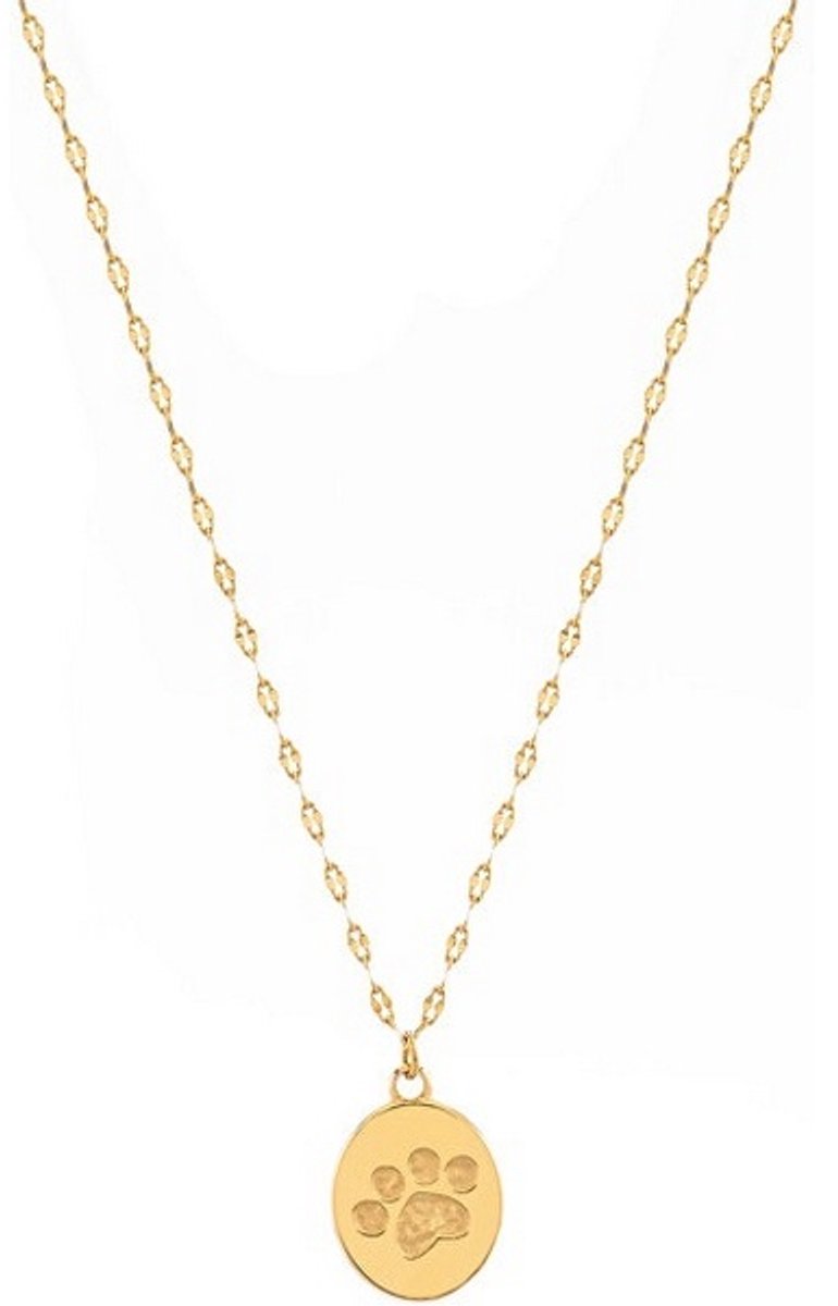 TROLI VABQJN038G GOLD-PLATED KETTING MET POOTAFDRUK BEDELTJE 1 STUK