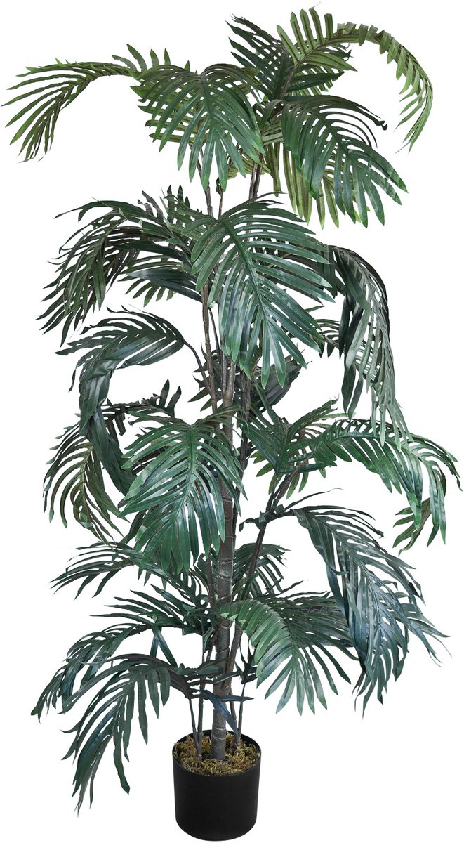 Kunstmatige Valse Plant Palm Decoratie Bininnen 160cm DECOVEGO