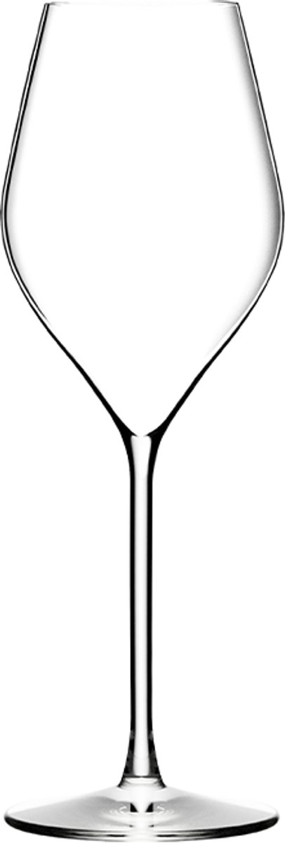 Lehmann Absolus 22 Champagneglazen - Set van 6 - 22cl - Loodvrij Kristal Reims
