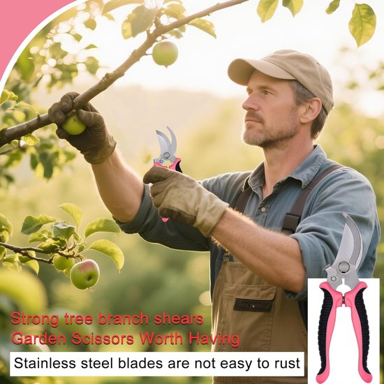 Schaarset - Snoeischaar - Bloemschaar - Bloemschikschaar - Roosenschaar - Druivenschaar - Met handvat - Duurzaam - Inspanningsbesparend - Tuinaccessoires - Geschikt voor planten, fruit, tuin (roze, meerdere maten) — afbeelding 3