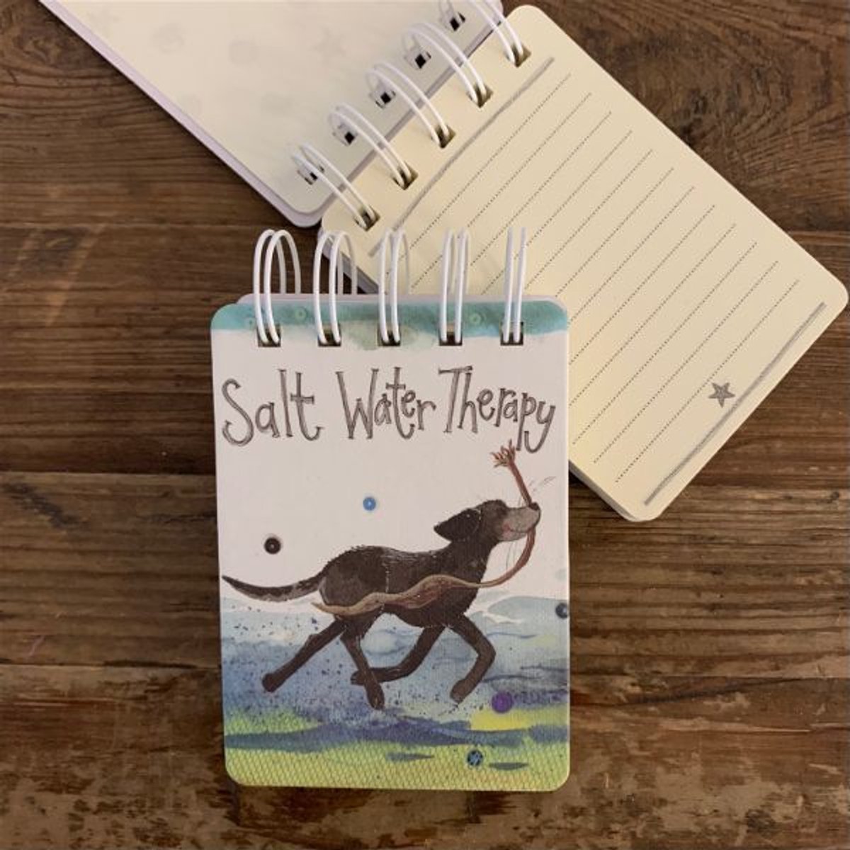 Alex Clark klein spirtaal gebonden notitieblokje hond ~SALT WATER THERAPY Small Spiral Bound Notepad'