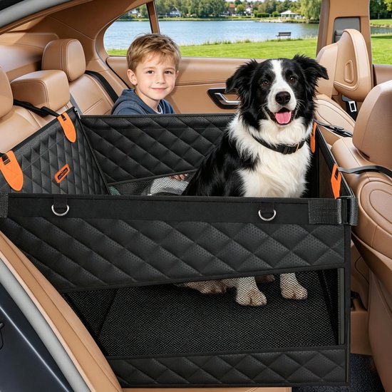 Garçon et border collie dans un siège auto noir, avec un lac en arrière-plan.