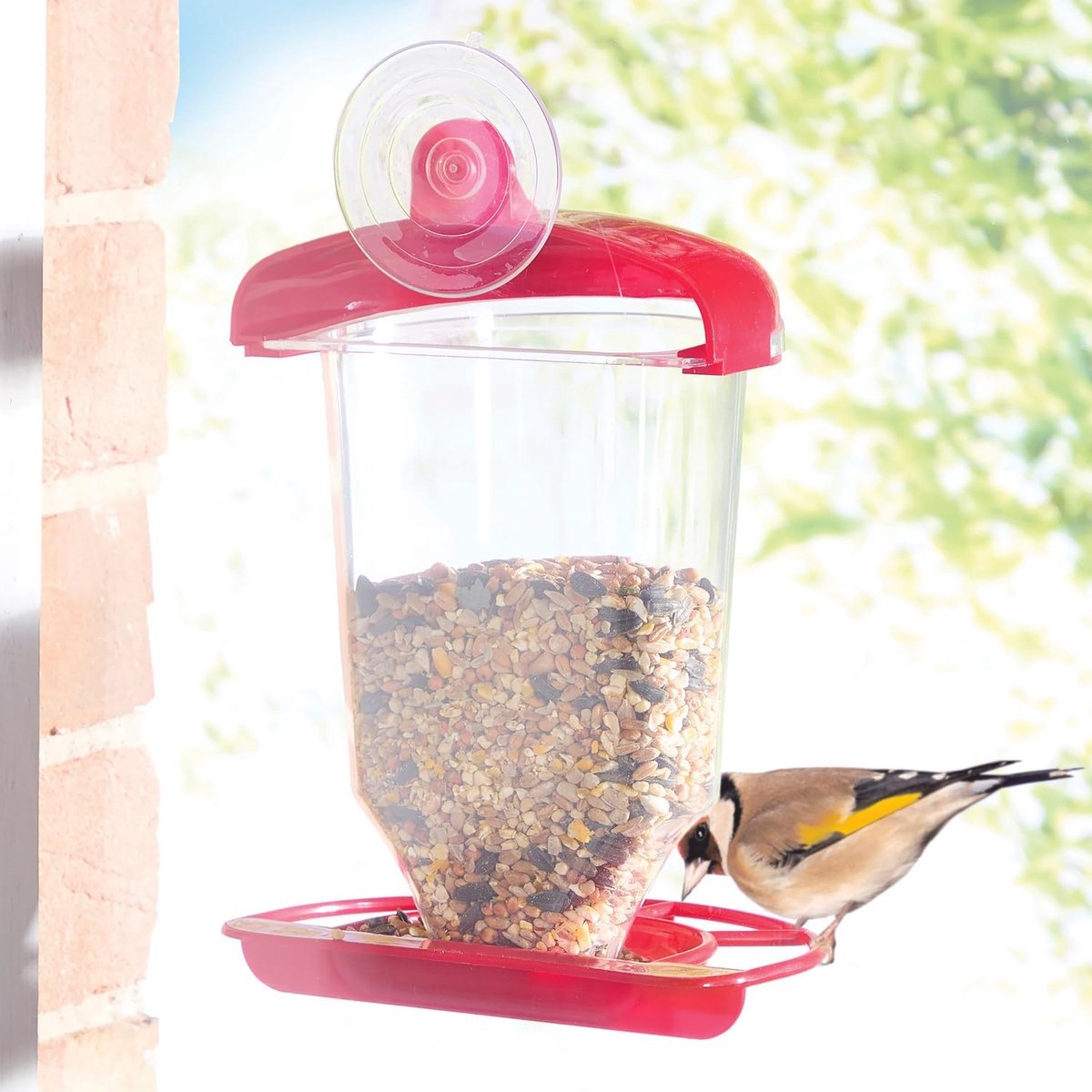 SnelShoppen - Wild Bird Feeder Huisje met Suction Cups voor Venster, Weerbestendig, Duidelijk Zicht op Vogels, Eenvoudige Installatie, Vogelvoer Dispe