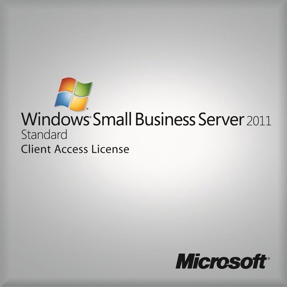 SnelShoppen - Windows Small Business CAL Suite 2011 64-bit - 5 User Licenties - OEM Software voor Systeembouwers - Engelse Versie