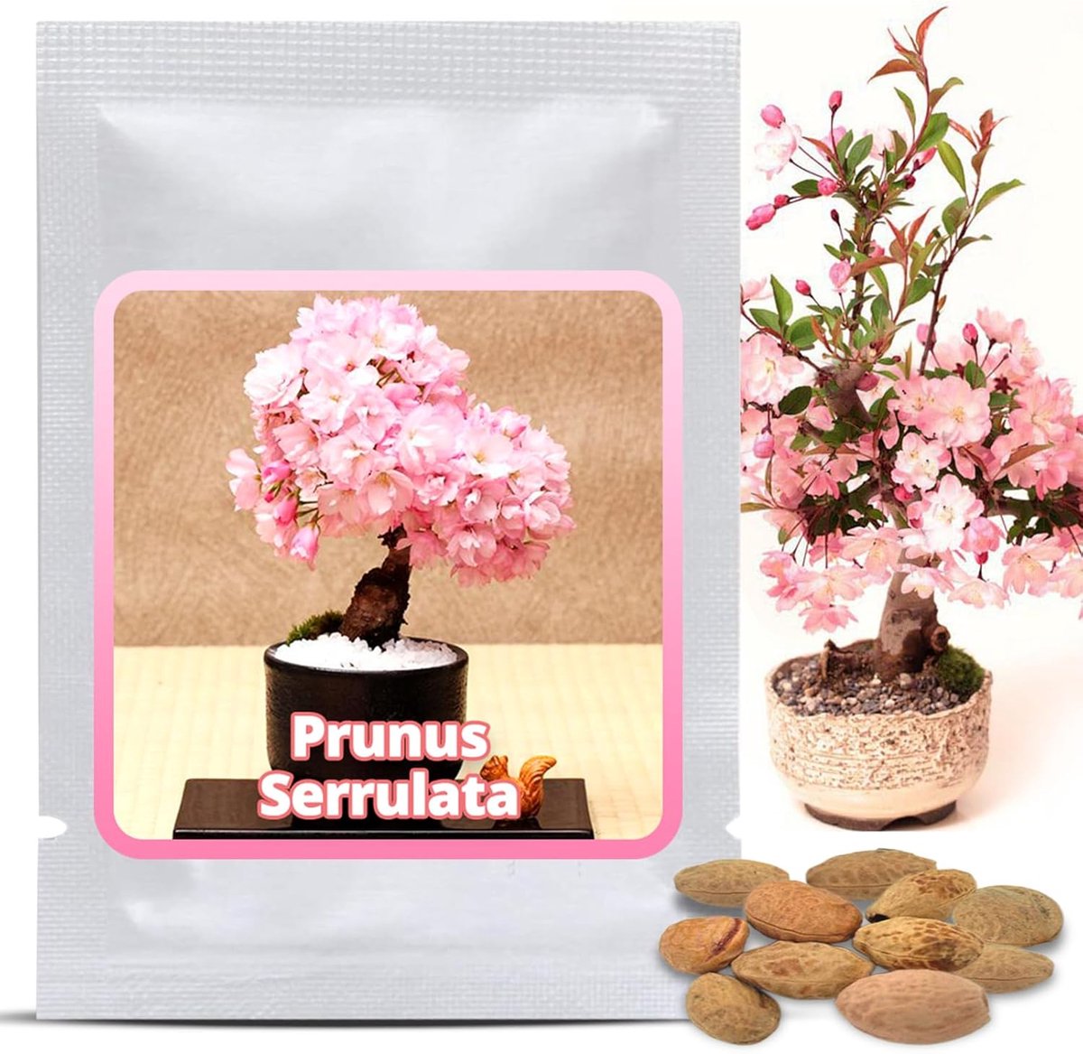 SnelShoppen - 10 Sakura Zaden Japanse Sierkers - Roze Bloemen Boom voor Tuin & Bonsai - Hardnekkige Planten voor Binnen en Buiten