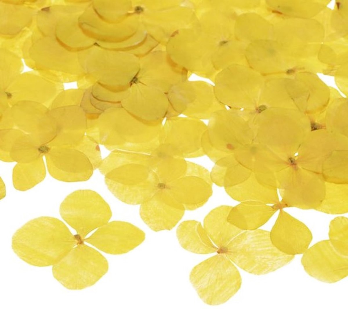 60 stuks gedroogde geperste bloemen voor hars, echte natuurlijke bloemen groothandel voor ambachten, doe-het-zelf sieraden, zeep, scrapbooking, kaarsen [geel]