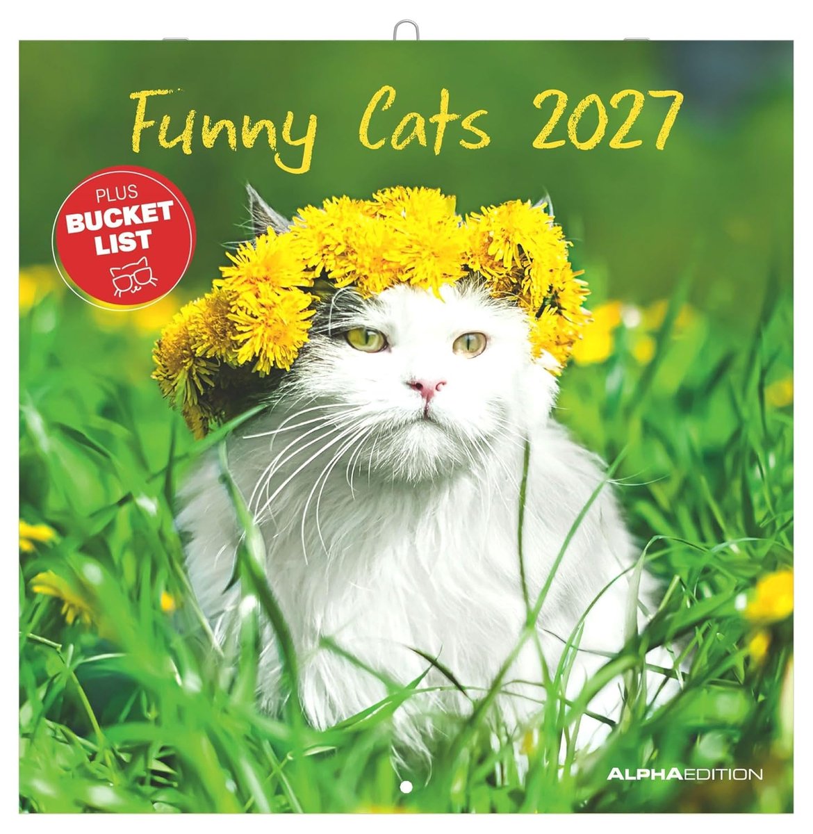 SnelShoppen - Funny Cats 2027 Wandkalender 30x30 cm met Notizkalendarium, 12 Humoristische Kattenfoto's en Bucket-List voor Thuis of op Kantoor