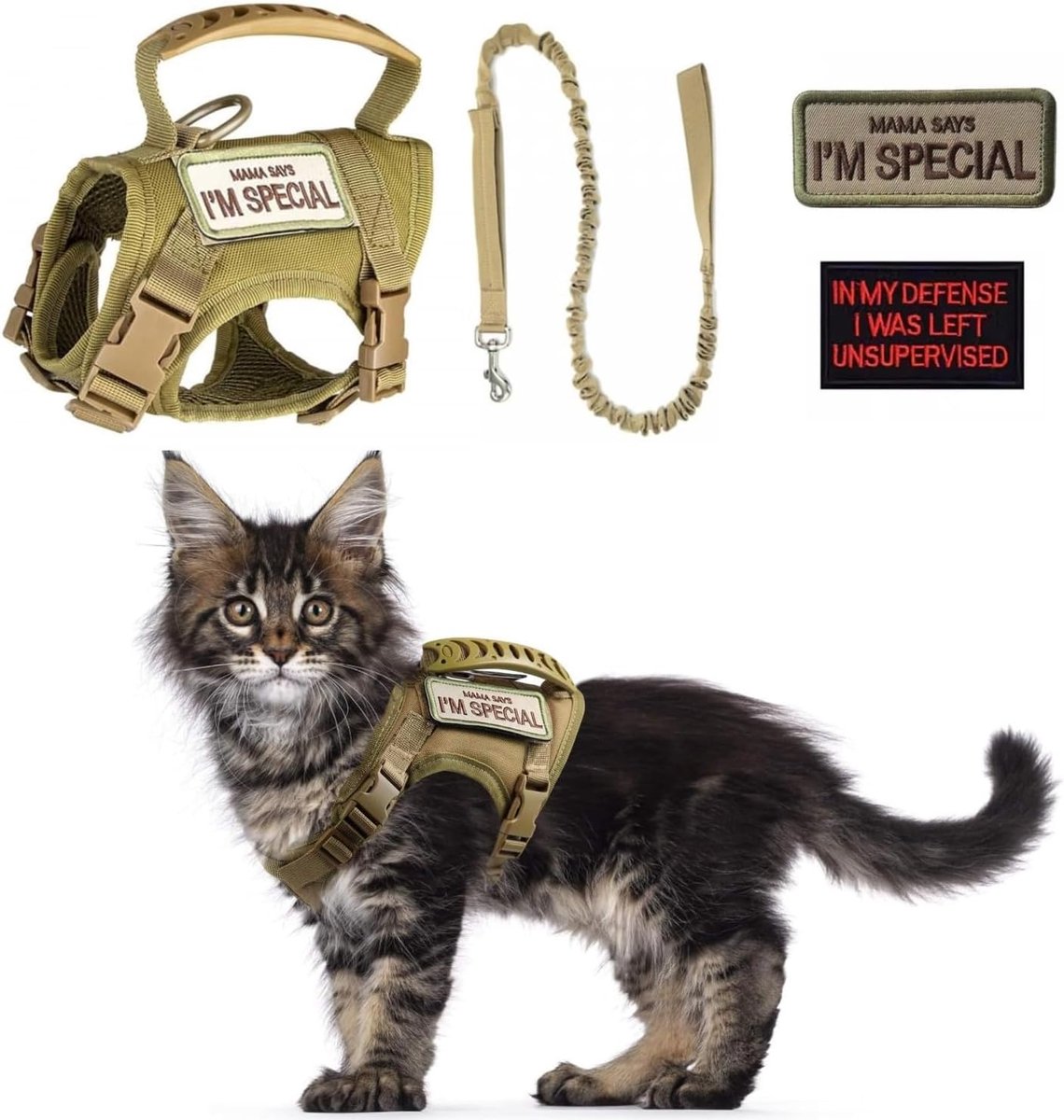 Thijox - Tactisch Kattenharnas en Riemset voor Wandelen, Verstelbaar en Ontsnappingsbestendig, Grote Kattenvest met Zachte Mesh Voering en Rubber Hand