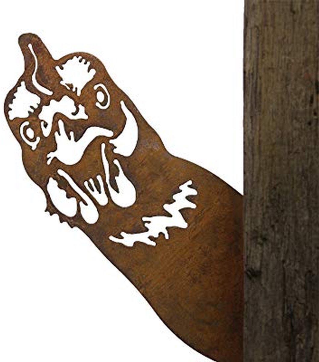 Tuinsteker Haan - Wanddecoratie Metaal - Tuin Aankleden - Handgemaakt Uniek - 30 cm Lengte - Roestig