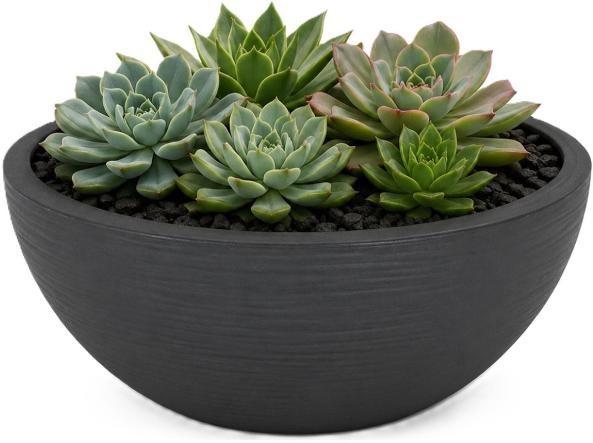 EDA Bloempot / plantenpot schaal Graphit - rond - kunststof - antraciet - D25 x H11 cm