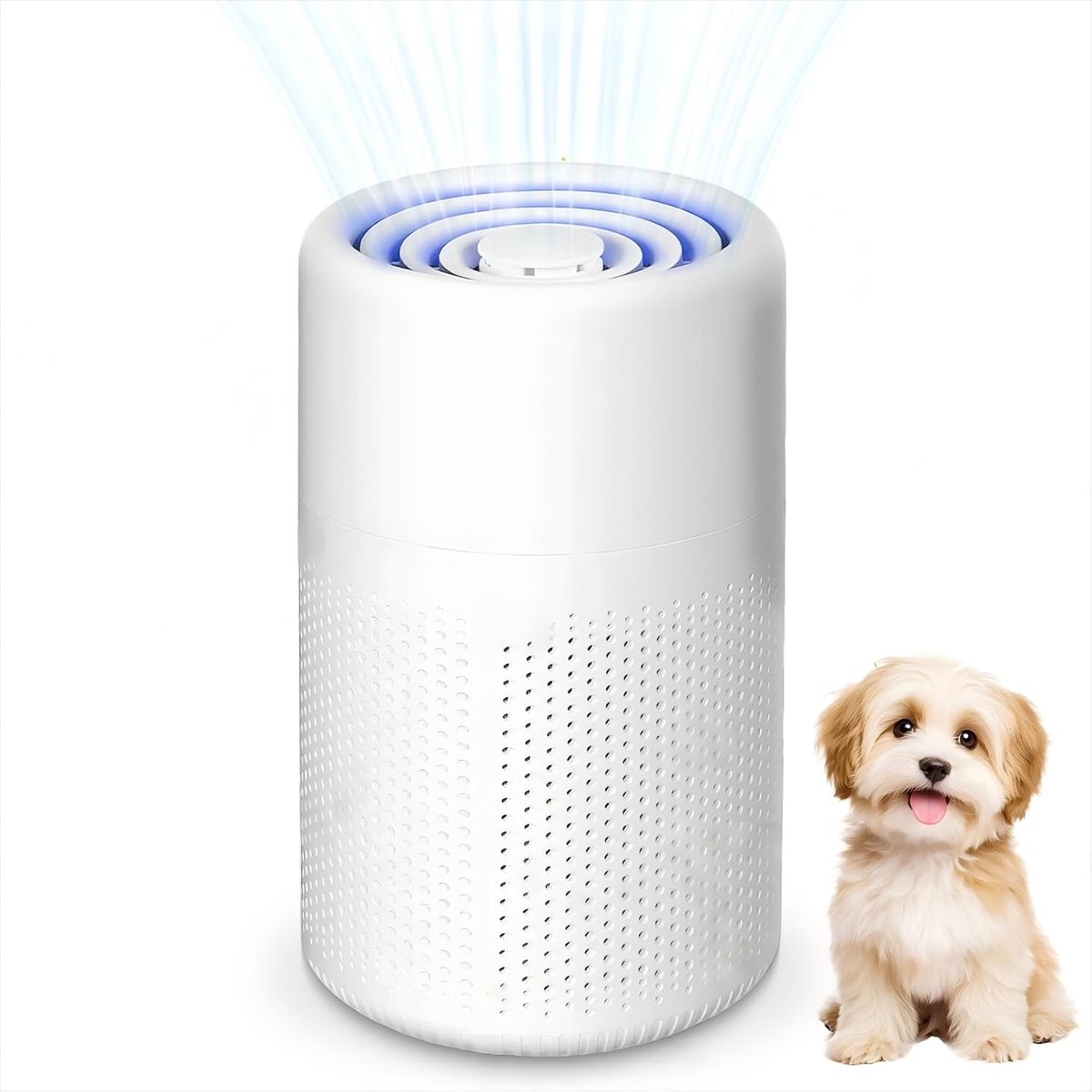 SnelShoppen - HEPA Luchtreiniger met USB-poort & Aromatherapie - Compact Luchtfilter tegen Schimmel, Stof en Dierenharen - Energiebesparend 5 Watt voo