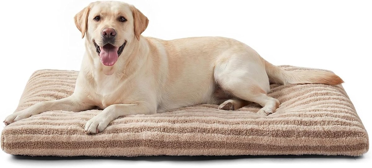 SnelShoppen - Grote Hondenmand 90x60cm, Wasbaar Hondenkussen Pluche Antislip, Zacht en Donzig Hondenbed voor Thuis en Buiten