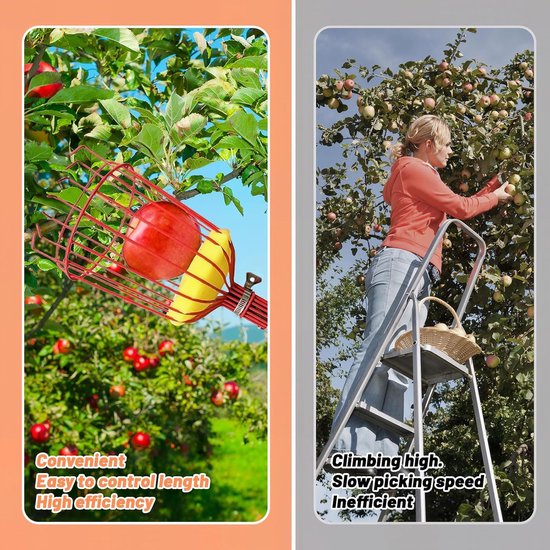 Telescopische fruitplukker, 4,2 m afneembare fruitplukker, tang met roestvrijstalen mand, fruitplukker met lichtgewicht verstelbare staaf, perenperzik tuinplukgereedschap - Appelplukker, telescopische pruimenplukker, klauwhaak, schuimkussen — afbeelding 4