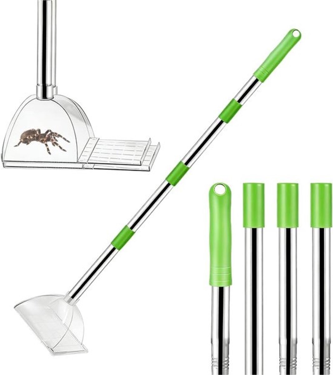 Diervriendelijke Spinnenvanger - 83cm Extra Lang Handvat - 4-delige Verstelbare Steel - Transparante Insectenvanger - Insectenvanger voor Plafonds & Buiten - Groen