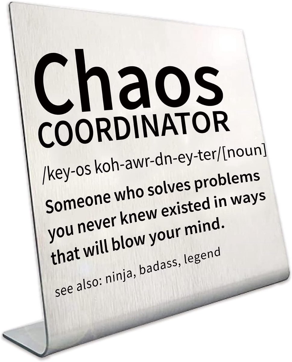 SnelShoppen - Chaos Coordinator Bureau Decoratie - RVS Tafel Plaque voor Kantoor, Thuis, Bar, Cubicle - Perfecte Cadeau voor Collega's, Vrienden, Mana