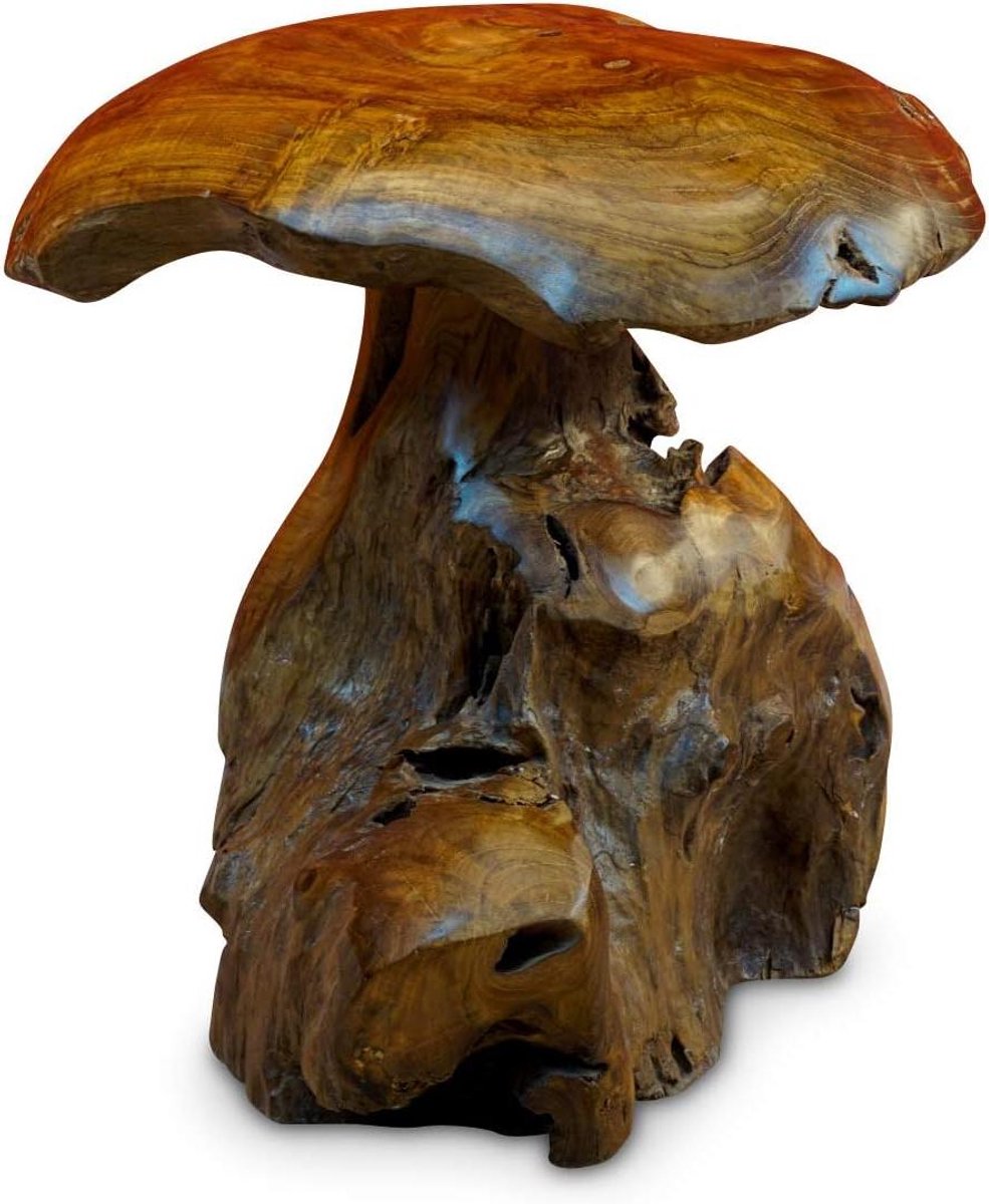 Houten Paddenstoel - Tuindecoratie - Sfeervolle Tuin - Handgemaakt Uniek - 40 cm Hoog - Bruin