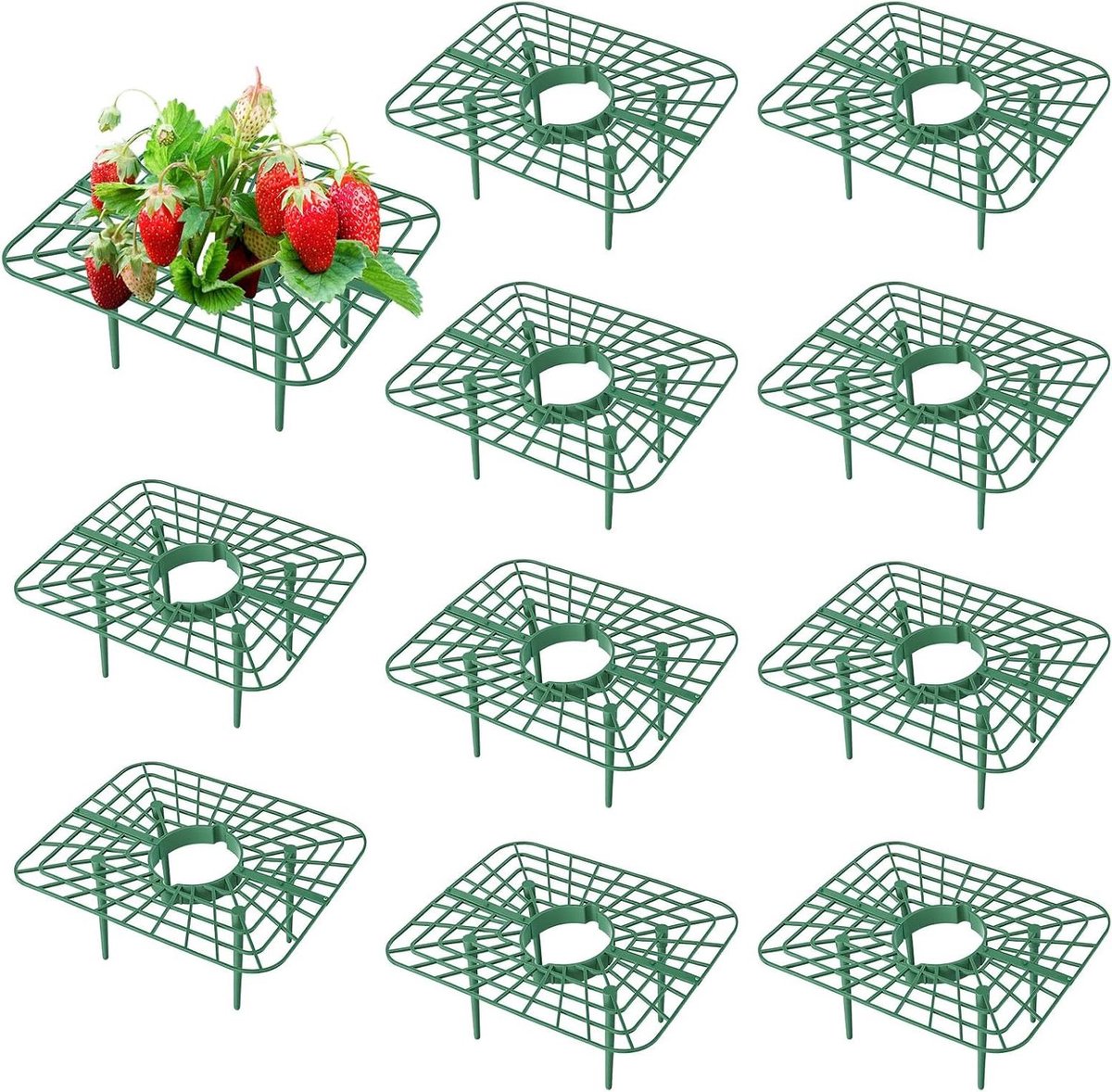 Aardbeienbescherming - Plantensteunen - Optimale Plantengroei - Flexibele Connectoren - 10 Stuks - Groen