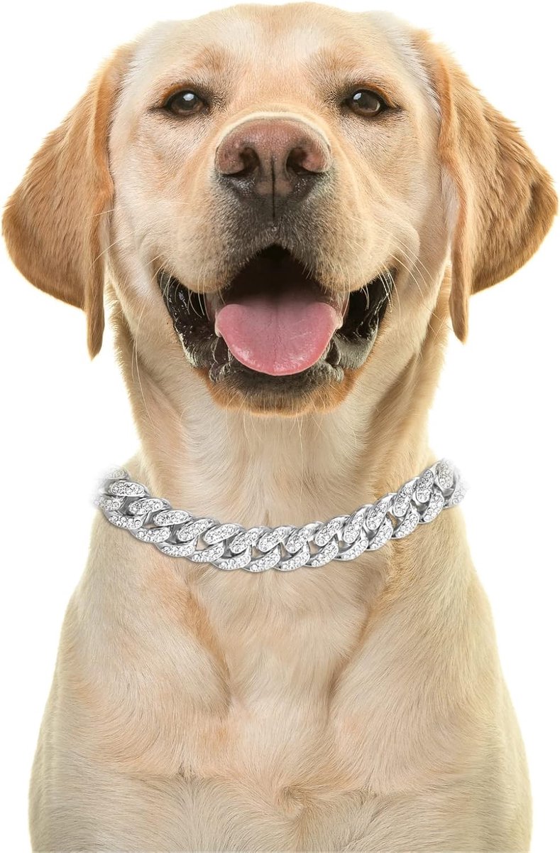 Iced Out Gouden Hondenhalsband, Diamant Cuban Link Ketting voor Kleine Honden, 35cm met Gratis Cadeaubox en Decoratie