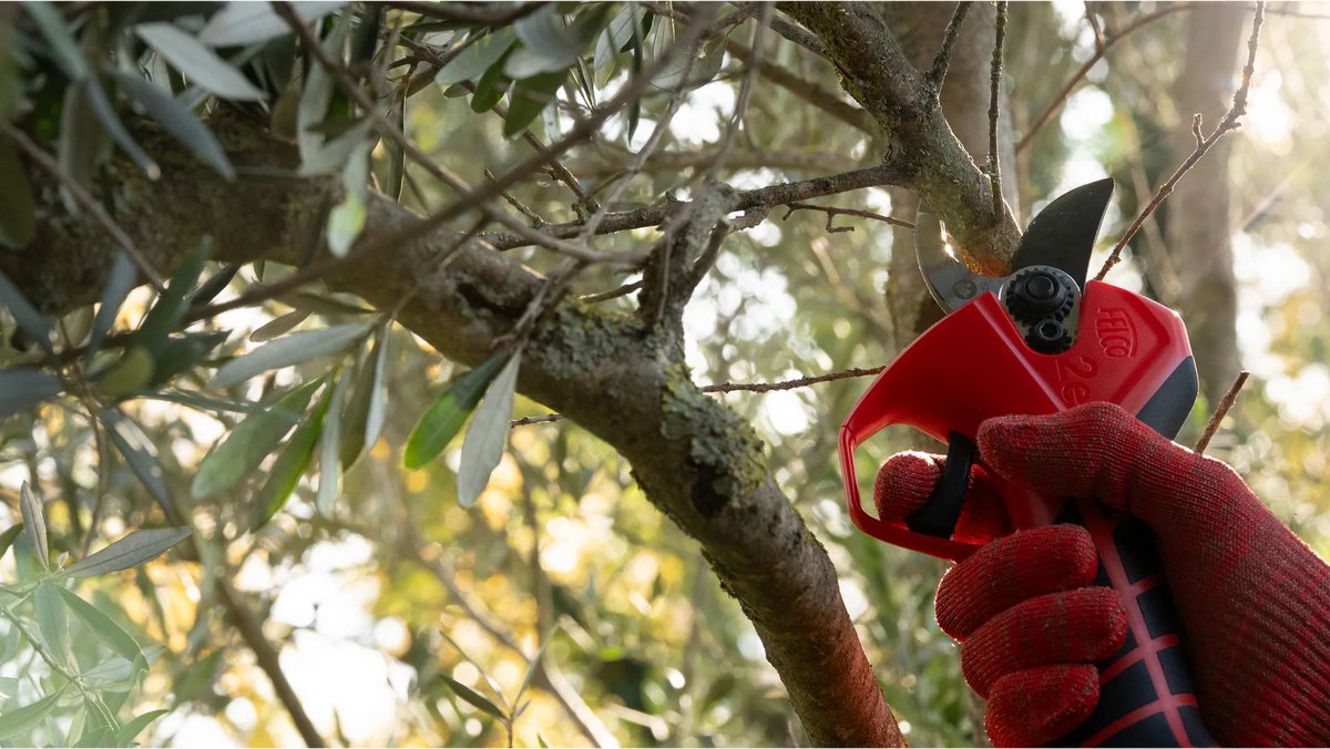 Felco 2e Electric Pruning Shears - Battery Included - Cuts up to Ø 27 mm