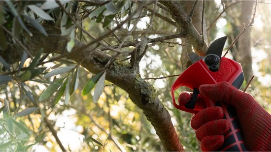 Felco 2e Elektrische Snoeischaar - Inclusief Accu - Knipt tot Ø 27 mm van Felco — afbeelding 3