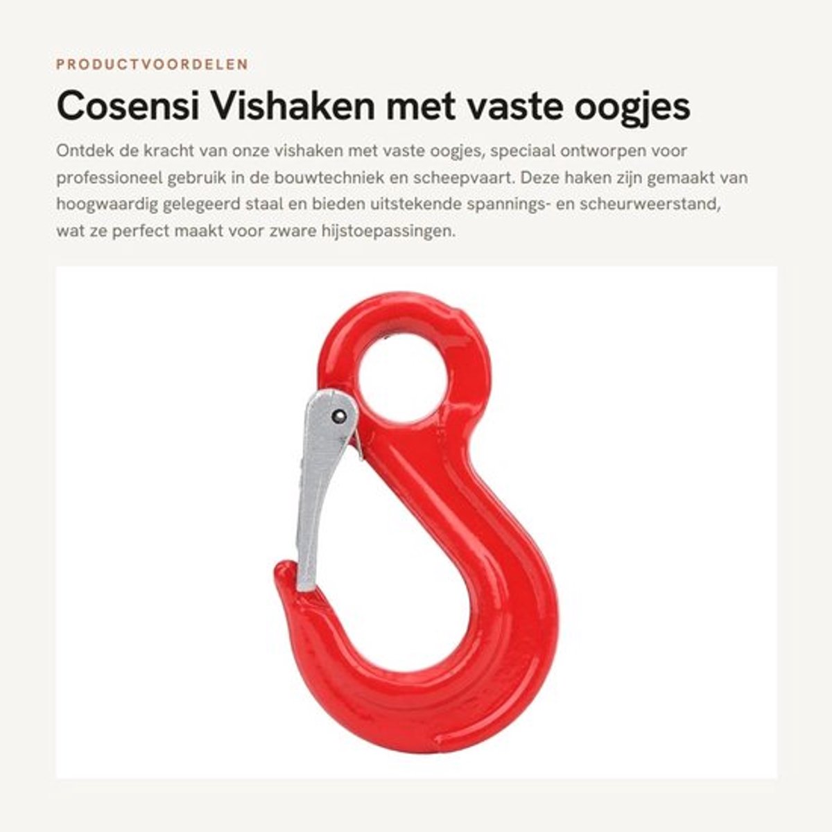 Vishaken met Veiligheidsslot - Gelegeerd Staal - Hoge Sterkte - Corrosiebestendig - Spanningsweerstand - Slijtvastheid - Hijshaak
