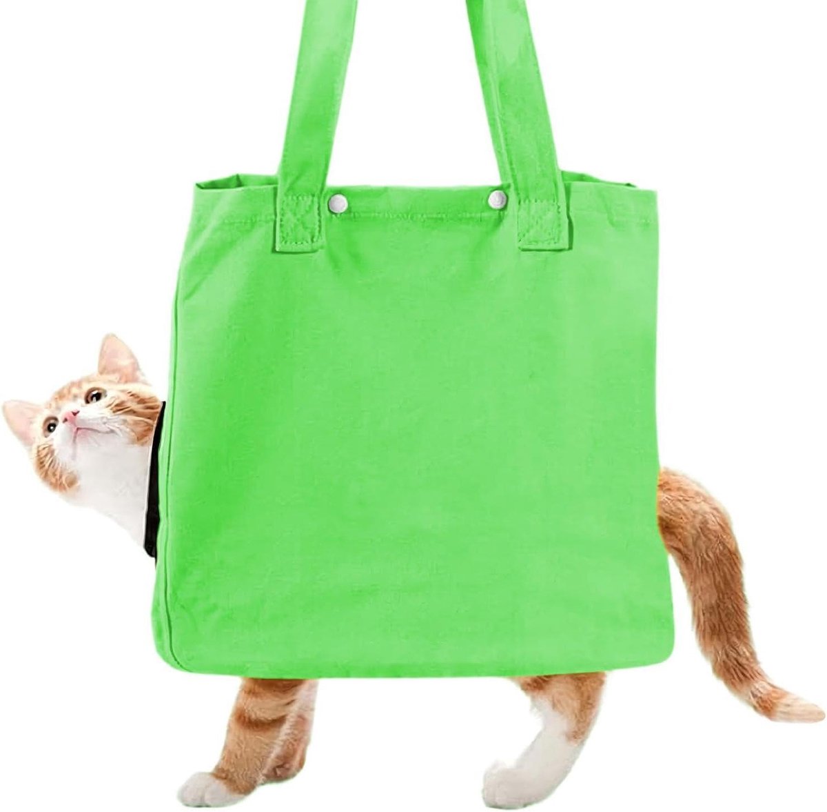 Transporttas Kat - Reistas Huisdier - Actieve Uitjes - Verstelbaar Trekkoord - 36 x 36 x 17 cm - Groen