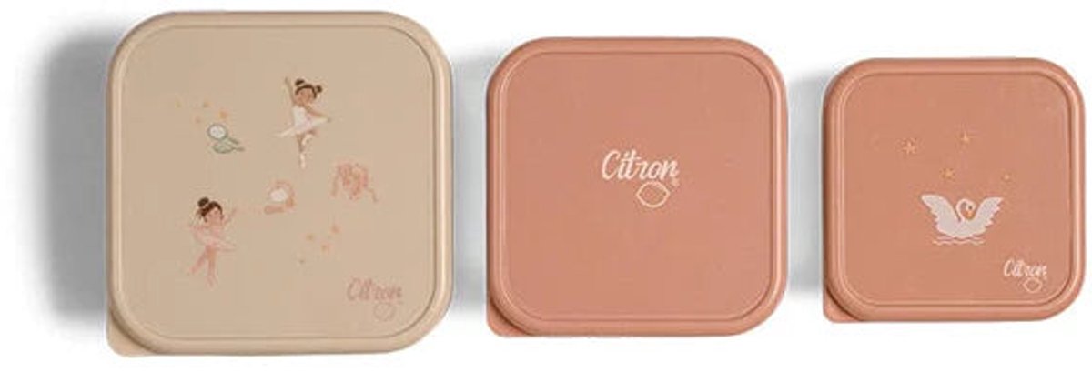 Citron Stapelbare Roestvrije Lunchbox/Snackbox - 12x12x7cm - Ballerina