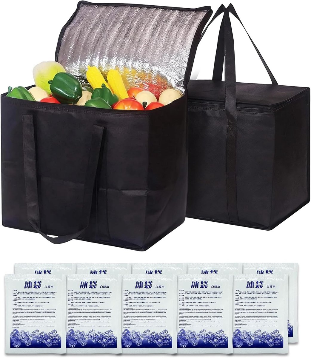 Koelrugzak - Zwart - 20 Liter - Opvouwbare Isolatietas met 10 Herbruikbare IJszakken - Voor Picknick en Boodschappen
