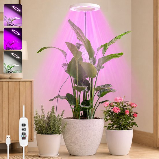 Rosnek LED Kweeklamp - Full Spectrum Groeilamp voor Planten - Dimbare Ringlamp met Timer 3/9/12 uur - In Hoogte Verstelbare Plantenlamp voor Grote en Kleine Kamerplanten - USB - Wi