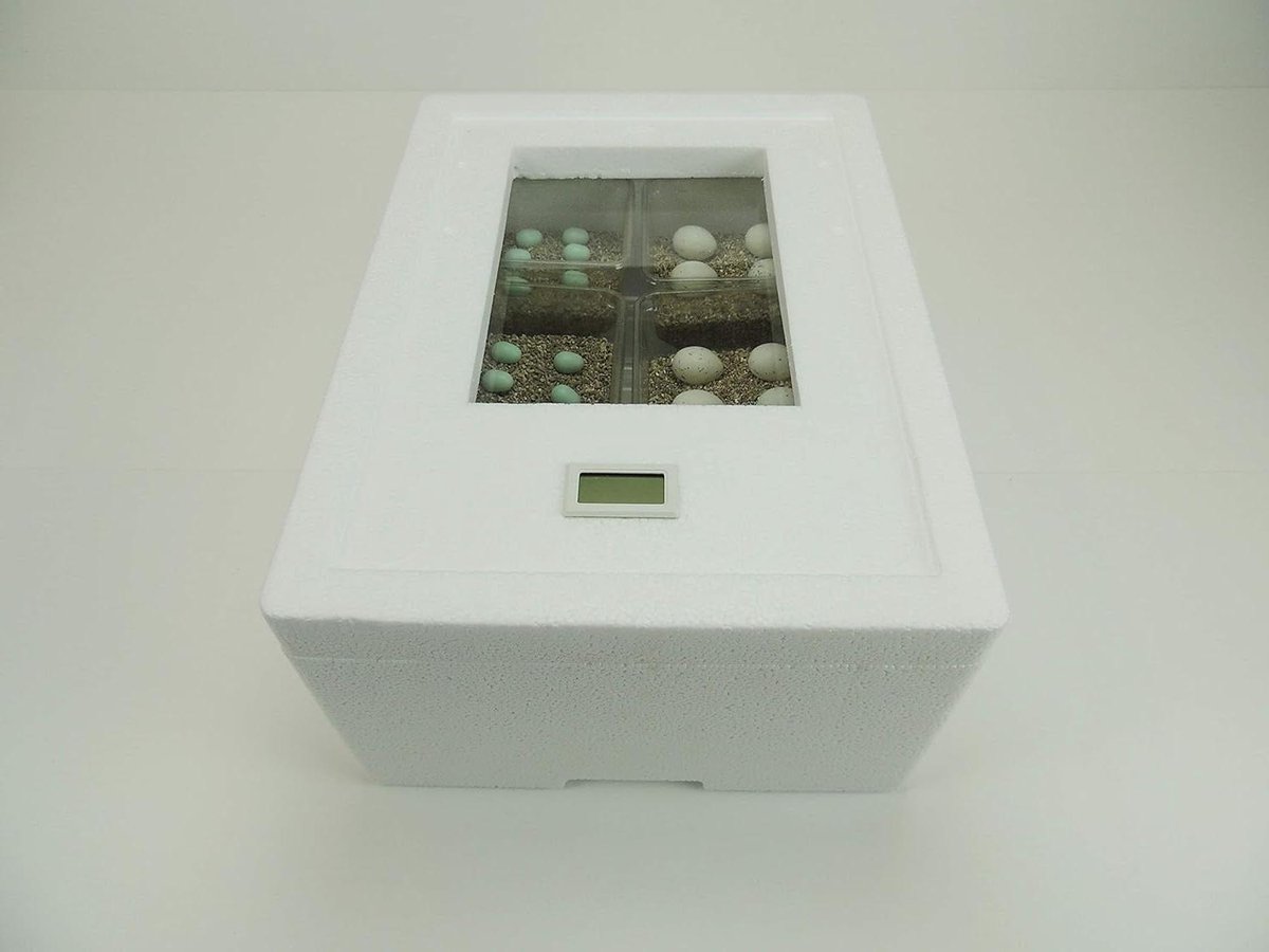 Reptielen Incubator - Broedmachine Eieren - Reptielen Verzorgen - Digitale Weergave - Tot 36 Eieren - Wit