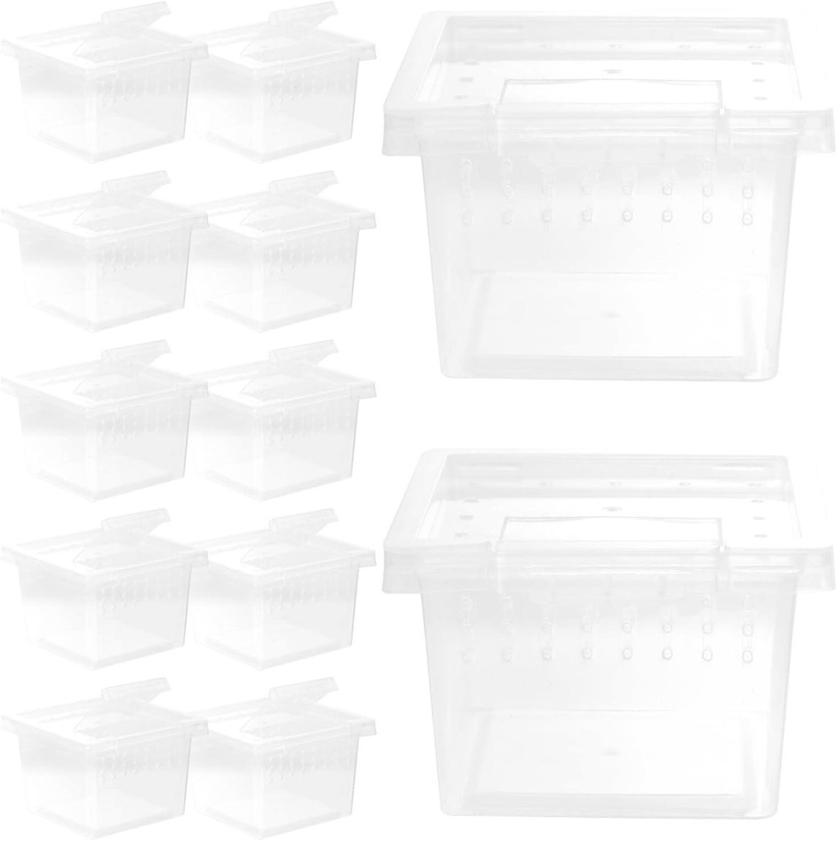 Reptielen Kweekbox - Kleine Habitat - Huisdieren Houden - Transparante Zijkanten - 30 Stuks - Transparant