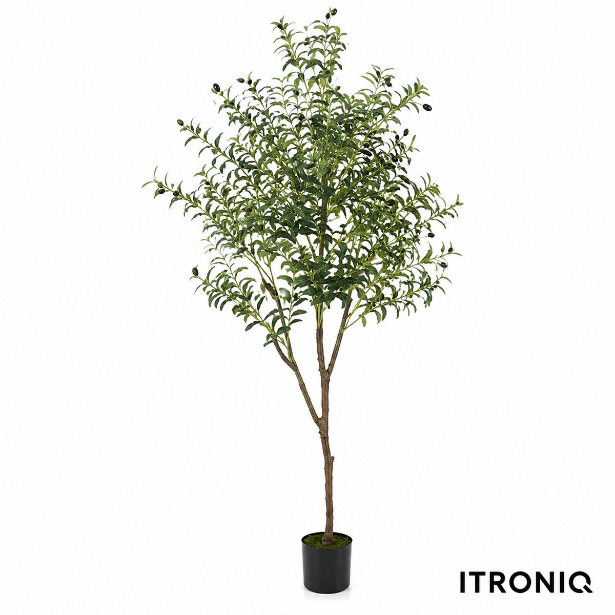 ITRONIQ Kunst Olijfboom 180 cm - Kunstplant Olijfboom Met Olijven - Realistische Kunstboom Voor Woonkamer Kantoor - Groen