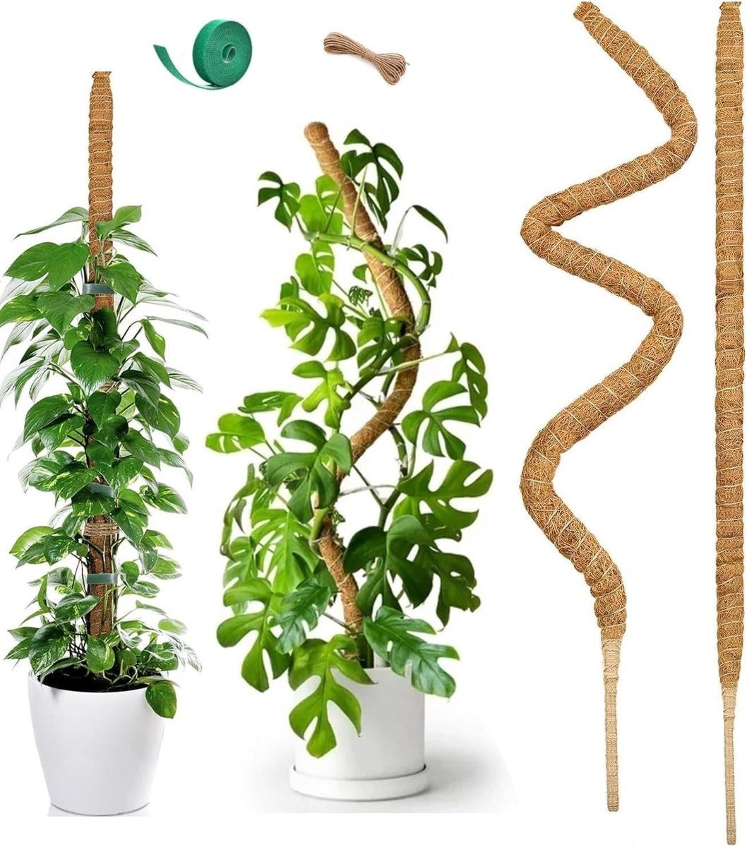 Mosstokken Set - Klimhulp Planten - Planten Ondersteunen - Flexibel Vormbaar - 4 Stuks 60cm - Natuurlijk