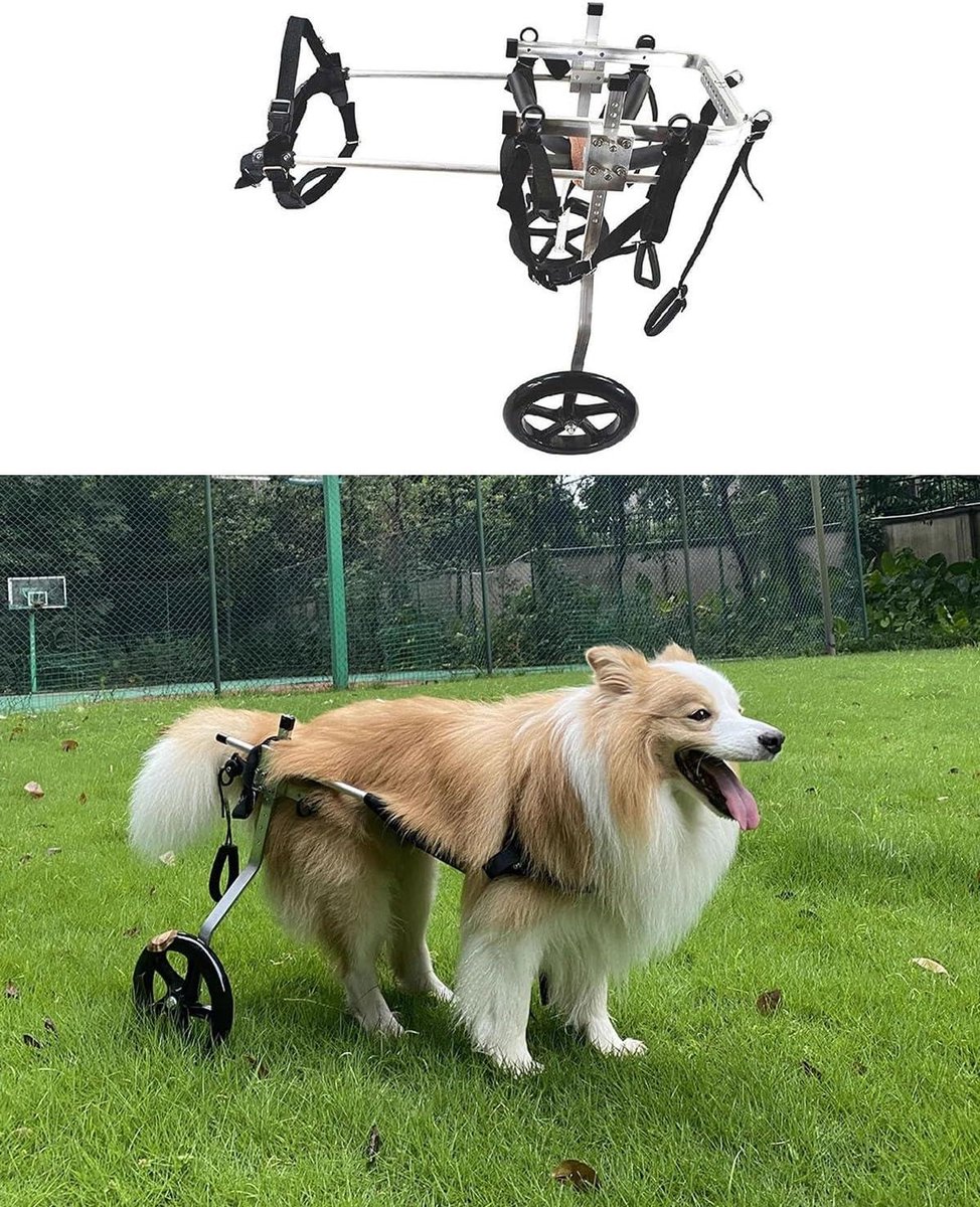 Hondenkar - Mobiliteitshulp - Ondersteuning Lopen - Verstelbaar Ontwerp - Maat L - One Color