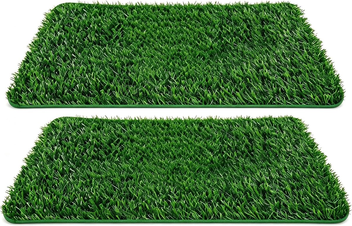 Kunstgras Hondentoilet voor Balkon - Vervangend Gras voor Puppy Training - Wasbare Pee Pads voor Kleine Honden 58.5 x 46 cm, Set van 2