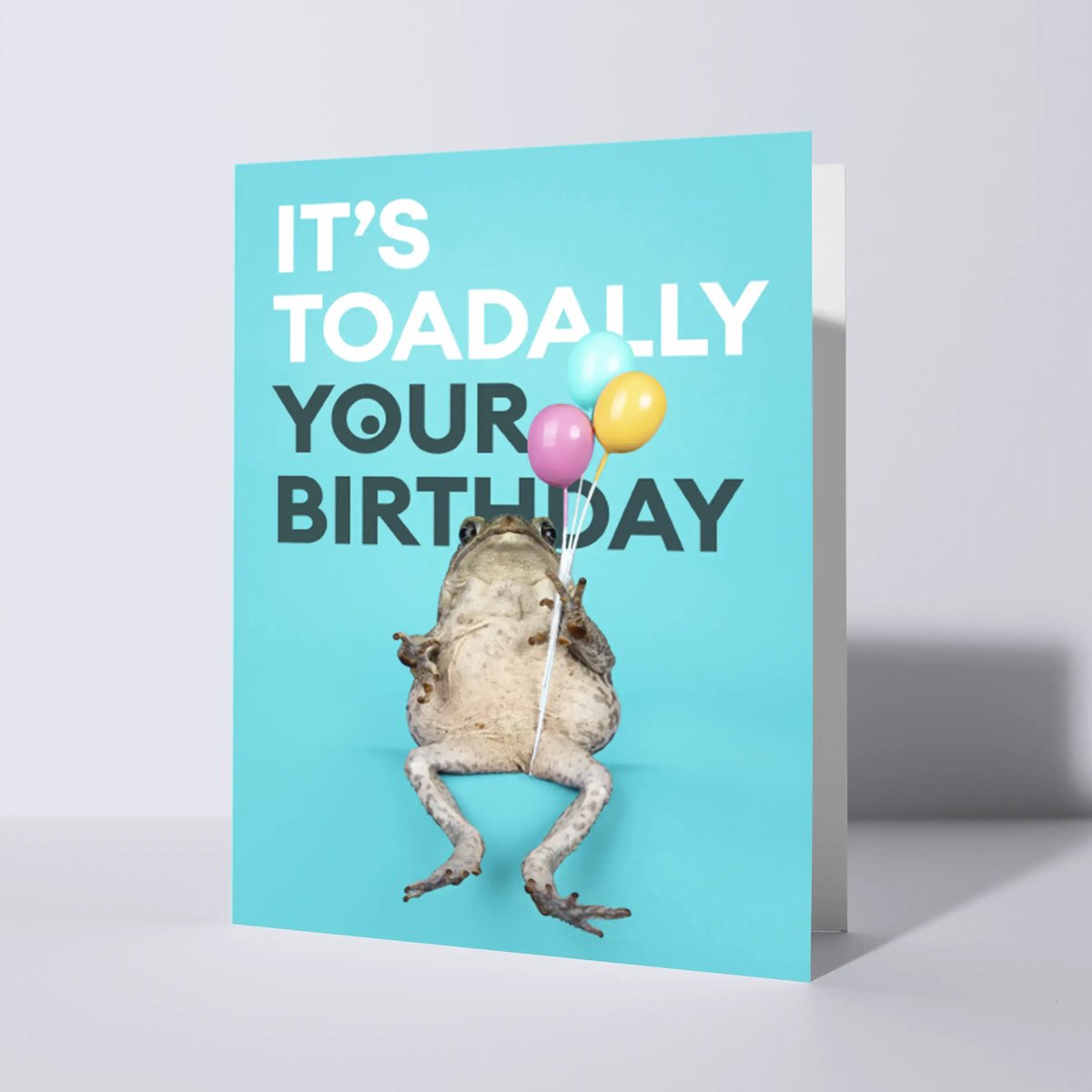 CAT'CHY Cards - wenskaart - verjaardag - pad - kikker