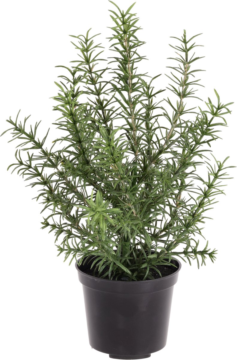 Rozemarijn kunstplant 35cm boeket in kweekpot