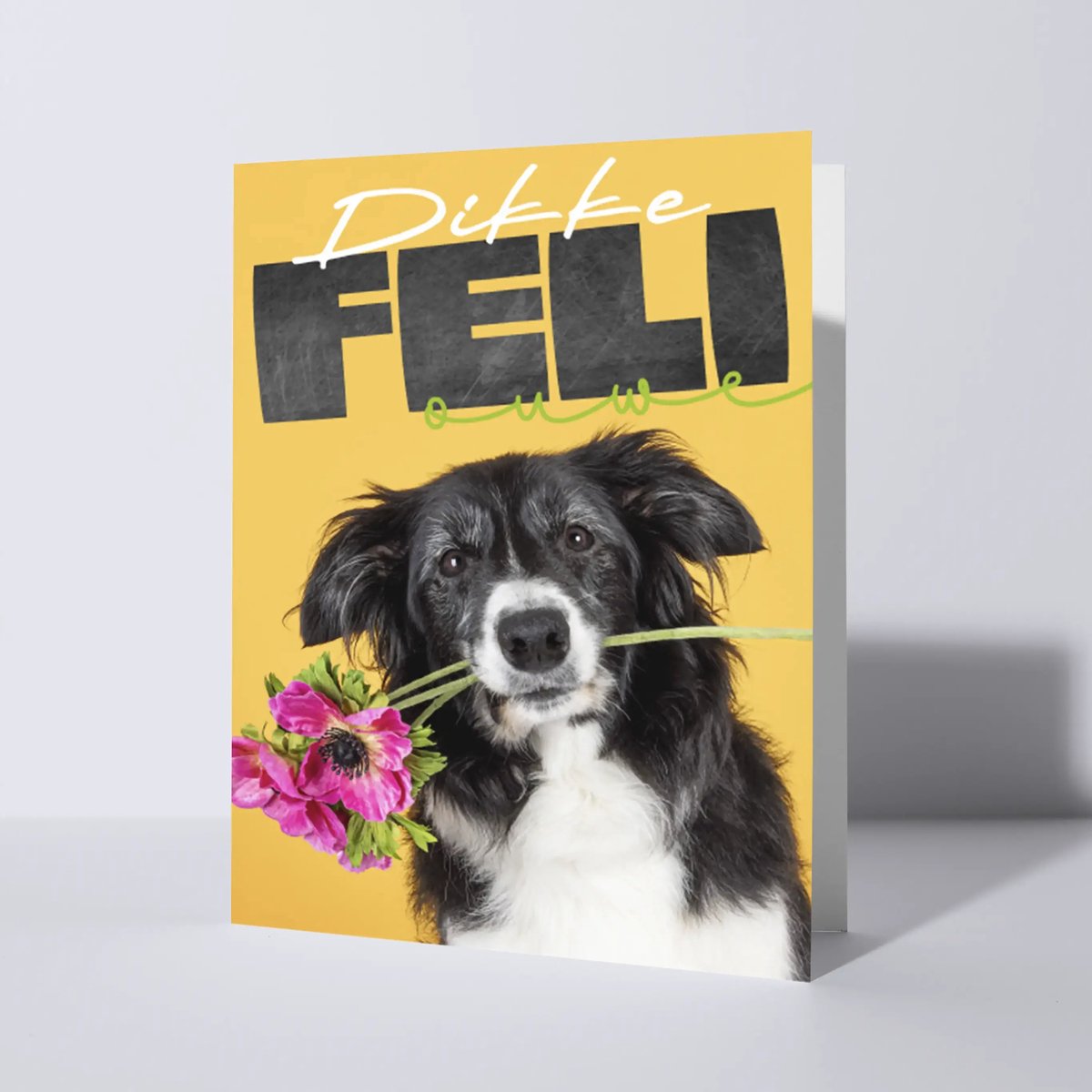 CAT'CHY Cards - wenskaart - verjaardag - hond - border collie